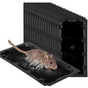 14Pack Sticky Mouse Trap Rat Traps Indoor, Peanut Taste Pheromone Mouse Traps Indoor for Home, Glue Sticky Traps for Mice and Rats, Snake(Large Size)