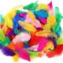 Soarer Colorful Craft Rooster Feathers - 300pcs 3-5inch Colored Feathers Bulk for DIY Crafts,Wedding Home Party Decorations,Dream Catcher Supplies(Rooster Colorful)
