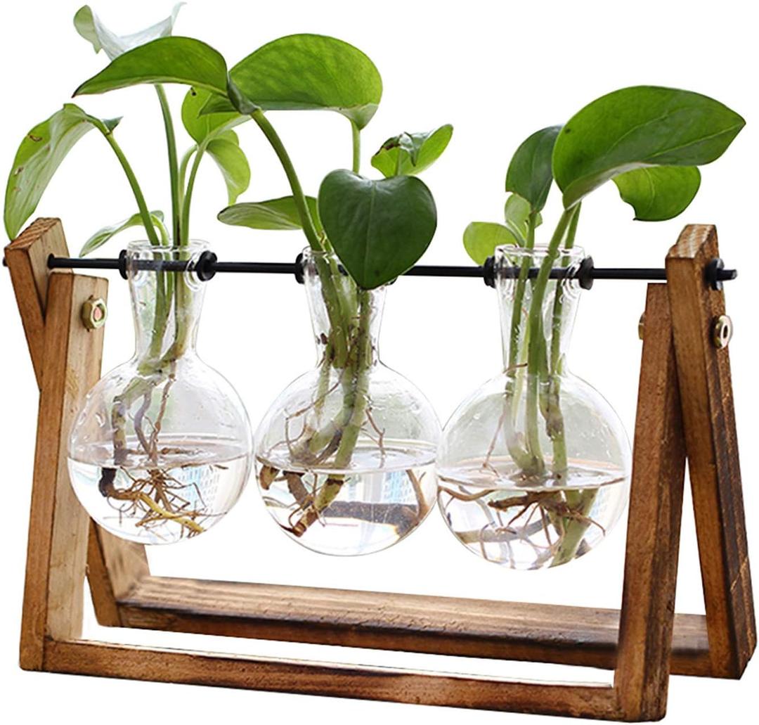 XXXFLOWER Plant Terrarium with Wooden Stand, Air Planter Bulb Glass Vase Metal Swivel Holder Retro Tabletop for Hydroponics Home Garden Office Decoration - 3 Bulb Vase XXXFLOWER Plant Terrarium with Wooden Stand, Air Planter Bulb Glass Vase Metal Swivel Holder Retro Tabletop for Hydroponics Home Garden Office Decoration - 3 Bulb Vase