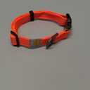 Carhartt Nylon Webbing Dog Collar, Fully Adjustable W/Durable Side Release Buckle, Coral Glow, Medium (Medium 12-18"(L) X 3/4"(W))