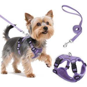 Small Dog Harness and Leash Set, Reflective Soft Breathable Mesh Vest, 3 Buckles, Adjustable Neck and Chest,Step in Dog Harness for Walking, Running, Training, Purple, XS