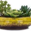 VanEnjoy 7.3 inch Round Large Shallow Succulent Ceramic Glazed Planter Pots with Drainage Hole, Bonsai Pots Garden Decorative Cactus Stand Flower Container (Yellow)