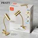 Globe Led•DEL Pratt Clip-on Lamp