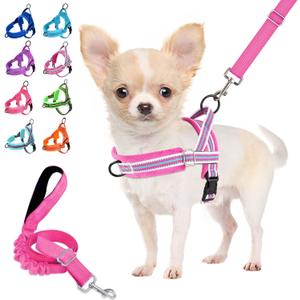 Lukovee No Pull Dog Harness and Leash Set, Soft Padded Small Dog Harness, Neck & Chest Adjustable Reflective Vest Puppy Harness with 4ft Lightweight Anti-Twist Dog Leash for Small Dogs (XS, Fuschia)