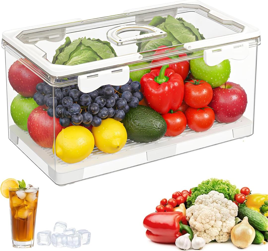 MAELSTROM Snackle Box Container, Picnic Basket with Lid and Handle, Clear Organizer Snackle Box for Biscuit, Fruits, Charcuterie -Perfect for Travel, Picnic, Beach & Party (1 Pack (Single Compartment))
