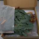 Ling's Moment Eucalyptus Flower Greenery Garland with Willow Leaves 2pcs, 5.9ft Hanging Italian Ruscus Vines Rustic Wreath Swags for Table Centerpieces Wedding Arch Decor, Terracotta Flowers