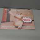 Funny Cat Calendar 2026 Funny Gift Cats Monthly Wall Calender 12 Month | American Made In The USA