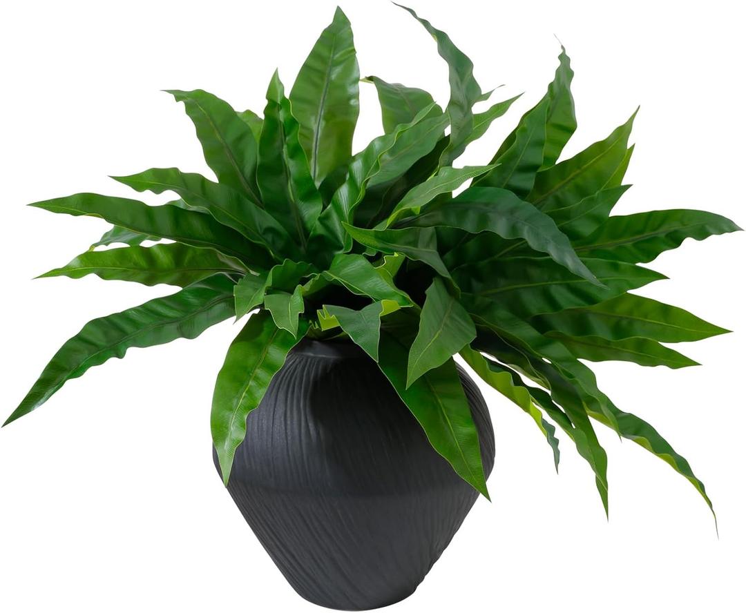 ucky Artificial Greenery Stems Dracaena Branches for Vase Faux Greenery Fake Plants Artificial Dracaena Leaves for Outdoor Home Garden Porch Decor (2PCS Bird's Nest Fern, 20 Leaves)