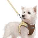 rabbitgoo Dog Harness Small Sized and Leash Set, Step in Soft Light Puppy Vest, Breathable Mesh Pet Harness, Reflective for Safe Easy Walking, Brown & Beige S (S (Chest: 15.1 - 16.5"))