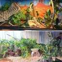 5 PCS Tank Accessories for Bearded Dragon Include Resin Classical Castle Reptile Climb Habitat Decor Hanging Jungle Vines Flexible Leaves Climbing Decor for Lizard Gecko Chameleon Spider