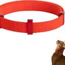 Safety Cat Collar Pro - U.S. IDA Gold Awarding Design, Elastic Quick Release Cat Collar with Buckle Non Breakaway - Lightweight for Kitten All Small Large Cats (Vivid Red, S 5.9-11.8")