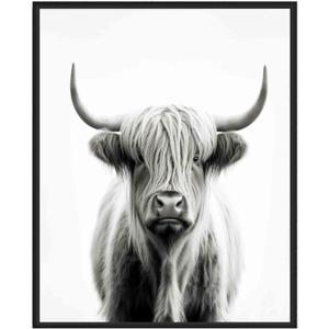 Highland Cow Art Prints Posters, Black and White Animal Photography Wall Art, Wildlife Nature Photo, Exotic Animal Wall for Bathroom Bedroom Decor 71 (Highland Cow, 20"L x 16"W, Unframed)