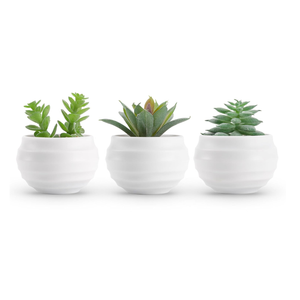 Der Rose Set of 4 Succulent Plants Artificial in Pots Small Fake Plants for Bedroom Aesthetic Living Room Shelf Bathroom Decor Office Desk Accessories