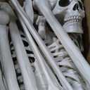 PETZOOKA 5.4FT Halloween Skeleton Life Size Human Adult Skeletons with Skeleton Dog Halloween Decorations for Indoor Outdoor Garden Lawn, Haunted House Props, Spooky Scene Party Decor