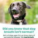 TropiClean Fresh Breath Water Additive for Dogs, Dog Breath Freshener and Teeth Cleaning Solution, No Toothpaste or Toothbrush Required, 16oz.