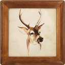 10x10 Wooden Picture Frames, Rustic Square Photo Frame Made of Solid Wood and Plexiglass for Wall Hanging and Table Standing (Brown)