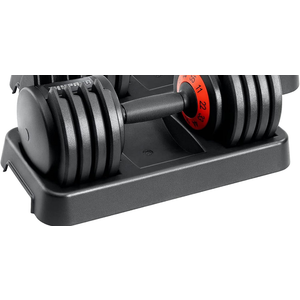 25/55 lbs Adjustable Dumbbell Set, Adjust Dumbbell Weight for Exercises Pair Dumbbells for Men and Women in Home