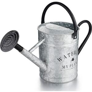 Galvanized Watering Can for Outdoor Indoor Plants, 1 Gallon Decorative Countryside Style Water Can with Removable Spout, Perfect Metal Watering Can for Indoor Plants and Garden Flower (Silver)