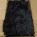 2 Pack 50 Inch Large Light Up Halloween Spider Decorations, 26 LED Orange Purple Lights Battery Operated Realistic Black Spider Scary Halloween Decor Outdoor Indoor Spider Web Yard Haunted House Party