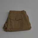 Amazon Essentials Men's Straight-Fit Stretch Cargo Pant, (30W x 28L, Dark Khaki Brown)