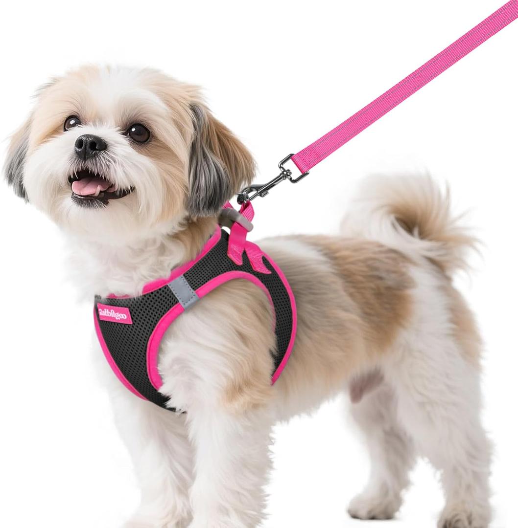 Rabbitgoo Dog Harness Small Sized and Leash Set, Step-in Breathable Pet Harness, Soft Walking Reflective Puppy Vest for Small Dogs, Black & Rose Red, S (Chest: 15.1 - 16.5")