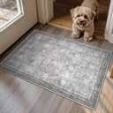 Entryway Rug, Washable Soft Non Slip Low Pile 2x3 Rug, Small Entrance Rugs Indoor for Bedroom, Kitchen, Laundry, Distressed Grey