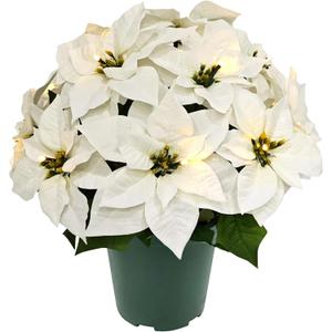Puleo International 19" Pre-Lit Battery-Operated Artificial Potted White Poinsettias
