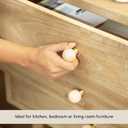 Ellementry Set of 6 Handcrafted Resin Cabinet Knobs Shell Resin Decorative Drawer Knobs for Dresser, Cupboard & Furniture Artisan Furniture Hardware for Kitchen and Wardrobe