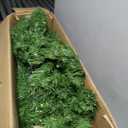 6FT PVC Christmas Tree 1000 Tips Hinged Solid Metal Legs