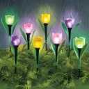 Tulip Solar Powered Lights 5 Pack