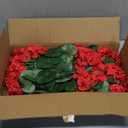 Hananona 6 Pcs Artificial Geranium Flowers for Outdoors Geranium Silk Red Flower Outdoor UV Resistant Garden Plants Faux Flowers for Christmas Home Kitchen Table Centerpieces Decor (6, Red)