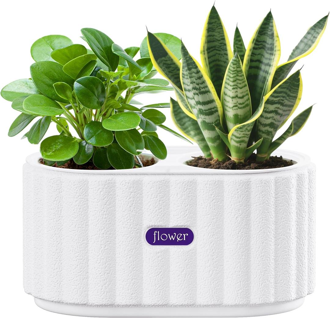 HOSUN 4-Inch Self Watering Planter, Dual Chamber Plastic Plant Pot with Drainage & Wick, Low Maintenance Indoor Flower Pot for Succulents, Aloe Vera, Herbs (White)