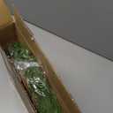 ENVEN 24" Norfolk Pine Wreath for Front Door, Real Touch Norfolk Pine Wreath Artificial Green Wreath Greenery Realistic Wreath Holiday Decoration for Home Decor