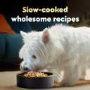 Cesar Wholesome Bowls Adult Wet Dog Food, Beef, Chicken, Carrots, Barley & Green Beans Recipe and Chicken, Apple & Sweet Potato Recipe Variety Pack, Wet Food for Dogs, 3 oz., 6 Count (EXP 09/14/27)