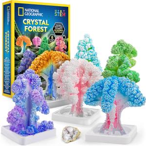 National Geographic Craft Kits for Kids - Crystal Growing Kit, Grow 6 Crystal Trees in Just 6 Hours, Educational Craft Kit with Art Supplies, Geode Specimen, STEM Arts & Crafts Kit 