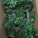 Artificial Bonsai Tree Juniper Faux Plants Indoor Small Fake Plants Decor with Ceramic Pots for Home Table Office Desk Bathroom Shelf Bedroom Living Room Farmhouse Decorations