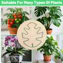 2 x 5 Pcs Plant Stakes for Indoor Plants, Reusable Iron Monstera Plant Support Structures Plant Supports for Indoor Plants Climbing and Thriving Growth Holders Gardening Accessories