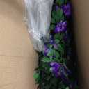 Expandable Fence Privacy Screen for Balcony Patio Outdoor,Decorative Faux Ivy Fencing Panel,Artificial Hedges (Single Sided Leaves) (2, Branches -Purple Fowers)