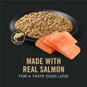 Purina Pro Plan Sensitive Skin and Stomach Dog Food Wet Classic Pate Salmon and Rice Entrée - (Pack of 12) 13 oz. Cans (EXP 06/30/28)