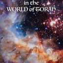 100 WONDERS in the WORLD of TORAH, Harcover