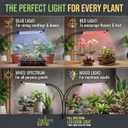 Bloom Lume LED Grow Lights for Indoor Plants Full Spectrum - Features Multi Mode Color Spectrums, Dimmable, Auto Timer, Clip on Gooseneck Plant Lamp