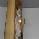 Meonum 2 Set 5 Light Electric Window Candles Plug in Christmas Candle Light with C7 LED Bulbs, Ivory Christmas Candelabra with Switch, Charge Connector,Spare Bulb for Holiday Party Home Window Decor