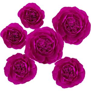 6 pcs 3D Paper Flower Decoration for Party, Wedding Decoration, Background Wall, Nursery Room Decoration, Bridal Shower, Baby Shower, (Rose Red,Set/6) 