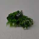 Plants Outdoor Summer Decor