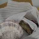 3 Pcs Large Scallop Shells 4-5 inch Natural White Scallop Shells from Sea Beach for DIY Craft Decor