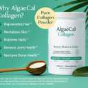 ALGAECAL Collagen: 4 Clinically-Supported Peptides VERISOL, FORTIGEL, UC-II, FORTIBONE, Anti-Aging Hydrolyzed Collagen Powder, 30 Servings, Made in USA