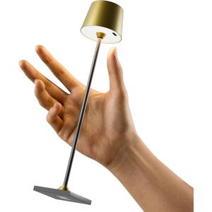 Compact Cordless Table Lamp, Rechargeable LED Night Light, Dual Light Source (RGB Top & Warm Bottom), Touch Control & Timer, Metal Lamp for Bedroom & Kids Room (Antique Brass & Black)