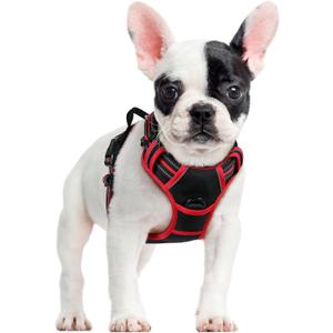 rabbitgoo Dog Harness No Pull with 2 Leash Clips, Adjustable Soft Padded, Reflective Oxford No Choke Pet Vest with Easy Control Handle for Small Dogs, Black & Red, S