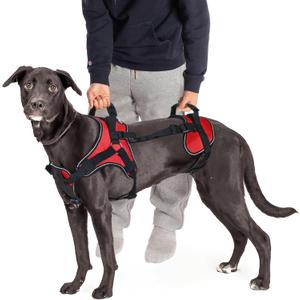 Doggie Stylz Multi-Functional Full-Body Lifting Dog Harness Vest, Designed for Front-Only, Rear-Only or Full-Body Dog Lifting. Please Measure Before Ordering. (Girth 28-39", Red)