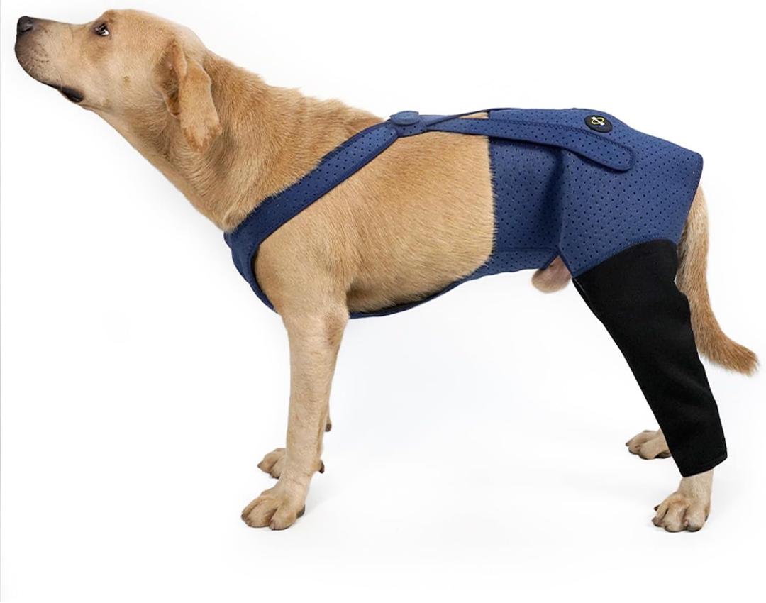 Coodeo Dog Recovery Suit, Cone Alternative - Abrasion Resistant, Waterproof & Washable 2.5mm Thick Sleeves to Prevent Licking, Biting Wounds (Blue, 2XL)